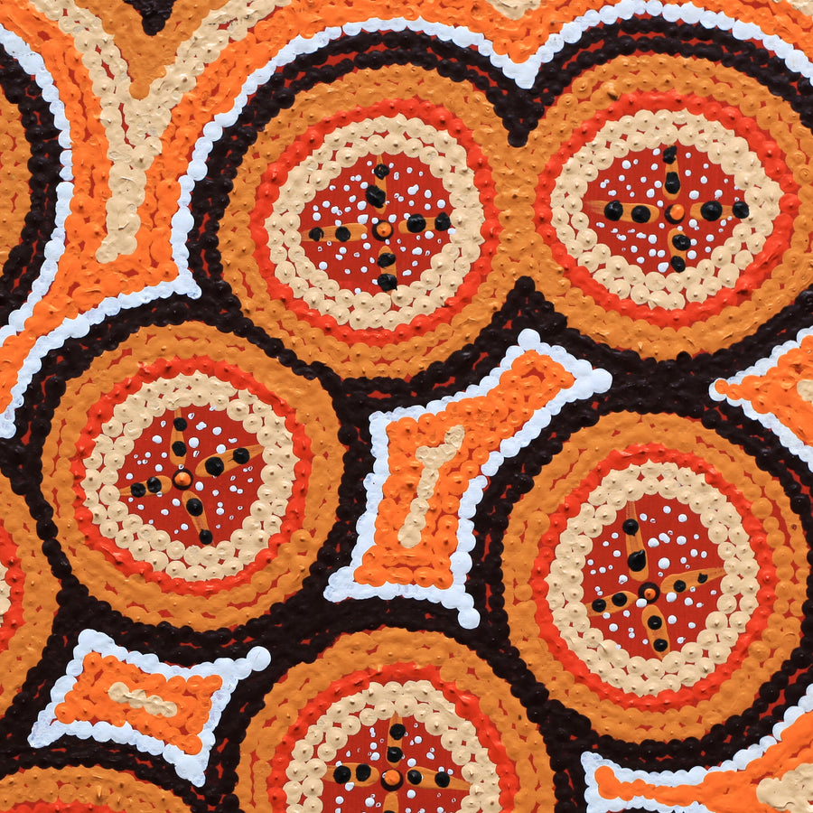 Aboriginal Artwork by Kaylisha Napaljarri Ross, Ngatijirri Jukurrpa (Budgerigar Dreaming), 30x30cm