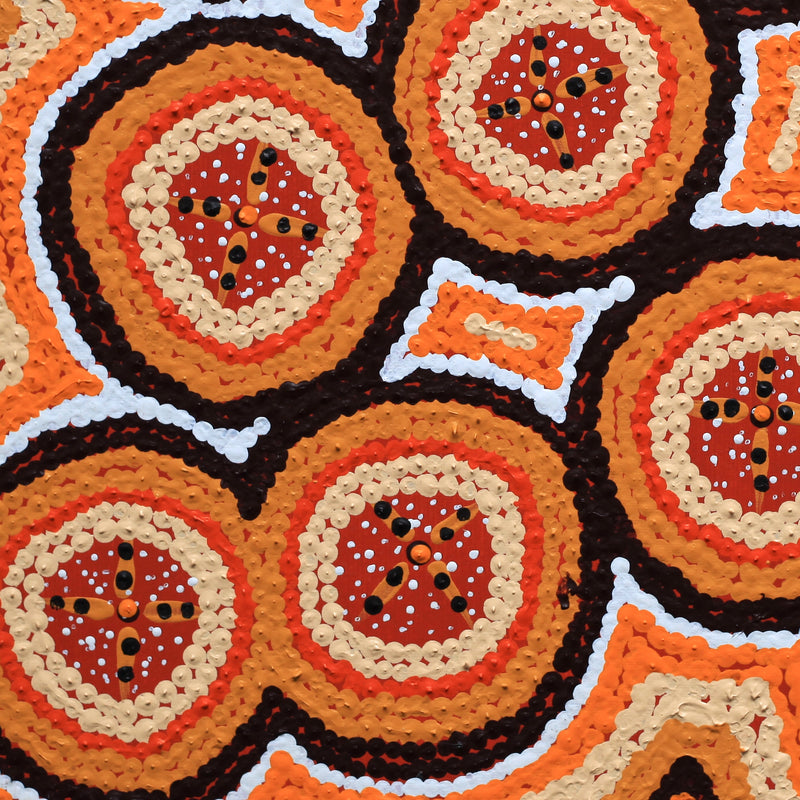 Aboriginal Artwork by Kaylisha Napaljarri Ross, Ngatijirri Jukurrpa (Budgerigar Dreaming), 30x30cm