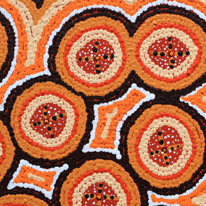Aboriginal Art by Kaylisha Napaljarri Ross, Ngatijirri Jukurrpa (Budgerigar Dreaming), 30x30cm - ART ARK®