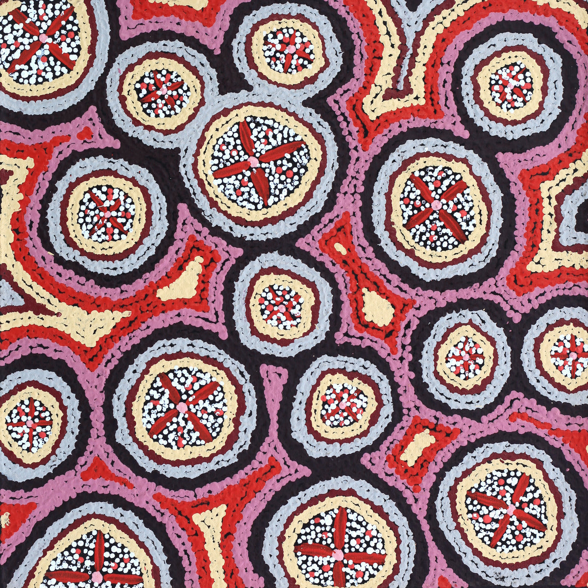 Aboriginal Art by Kaylisha Napaljarri Ross, Ngatijirri Jukurrpa (Budgerigar Dreaming), 46x46cm - ART ARK®