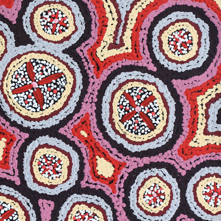 Aboriginal Artwork by Kaylisha Napaljarri Ross, Ngatijirri Jukurrpa (Budgerigar Dreaming), 46x46cm