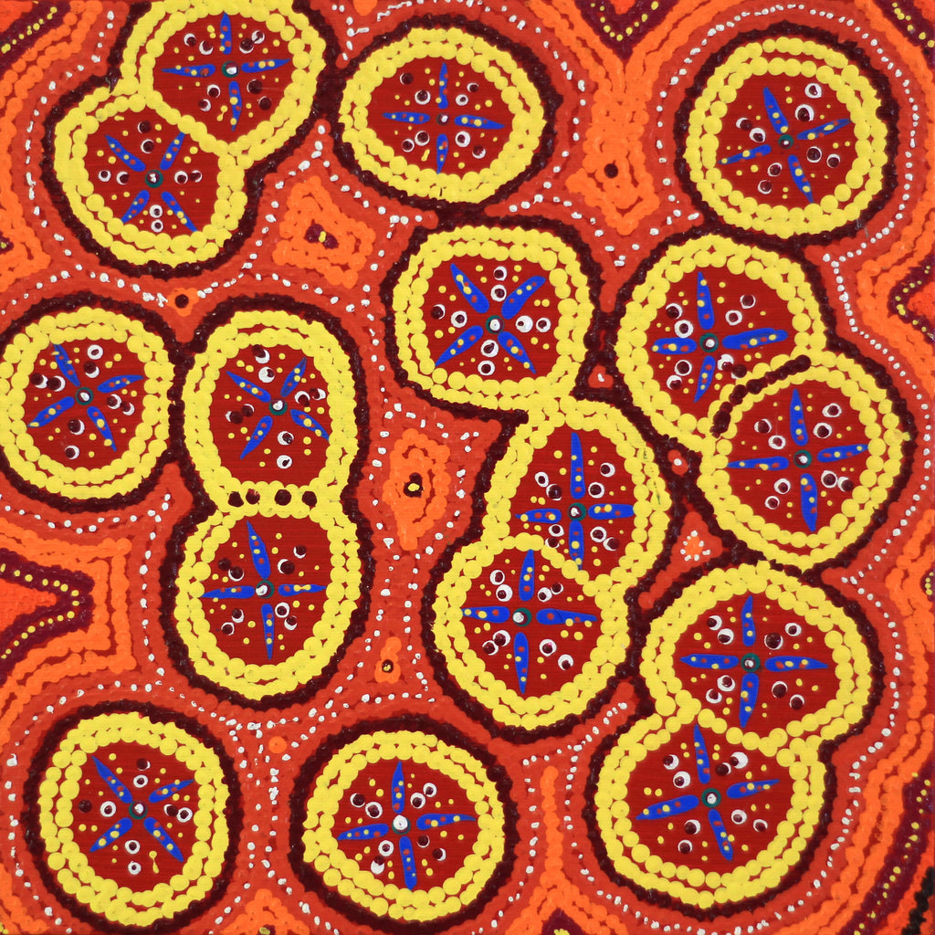 Aboriginal Art by Kaylisha Napaljarri Ross, Ngatijirri Jukurrpa (Budgerigar Dreaming), 30x30cm - ART ARK®