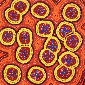 Aboriginal Artwork by Kaylisha Napaljarri Ross, Ngatijirri Jukurrpa (Budgerigar Dreaming), 30x30cm - ART ARK®