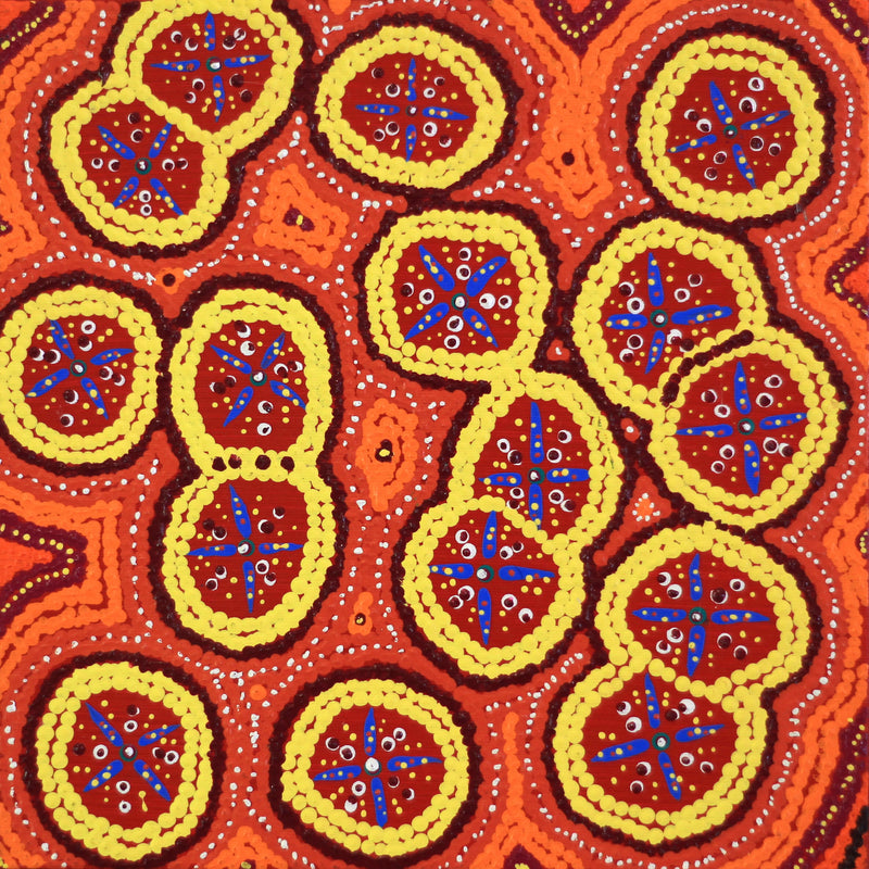 Aboriginal Artwork by Kaylisha Napaljarri Ross, Ngatijirri Jukurrpa (Budgerigar Dreaming), 30x30cm