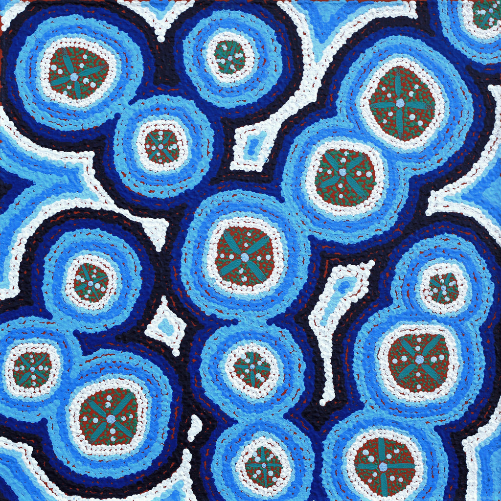 Aboriginal Artwork by Kaylisha Napaljarri Ross, Ngatijirri Jukurrpa (Budgerigar Dreaming), 46x46cm