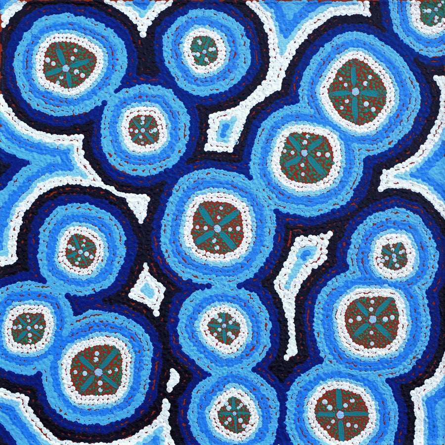 Aboriginal Artwork by Kaylisha Napaljarri Ross, Ngatijirri Jukurrpa (Budgerigar Dreaming), 46x46cm