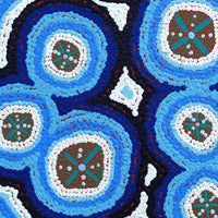 Aboriginal Artwork by Kaylisha Napaljarri Ross, Ngatijirri Jukurrpa (Budgerigar Dreaming), 46x46cm