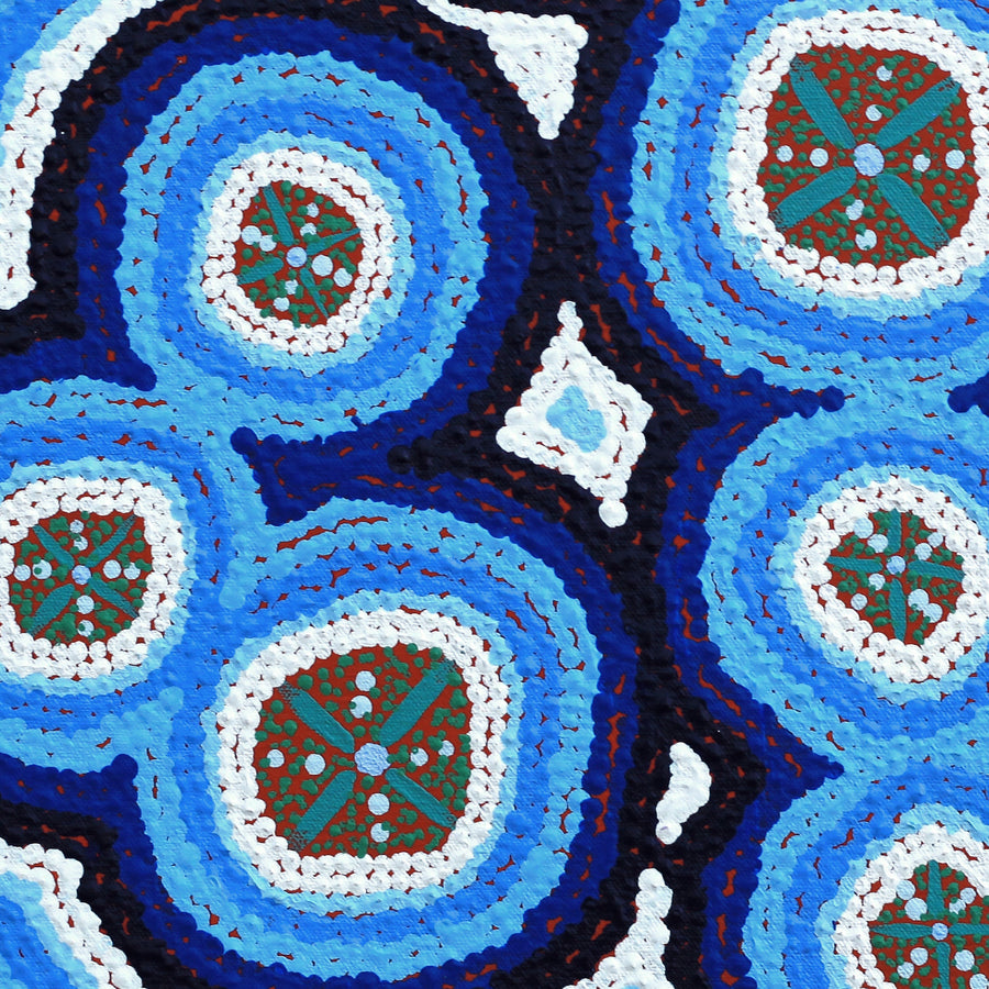 Aboriginal Artwork by Kaylisha Napaljarri Ross, Ngatijirri Jukurrpa (Budgerigar Dreaming), 46x46cm