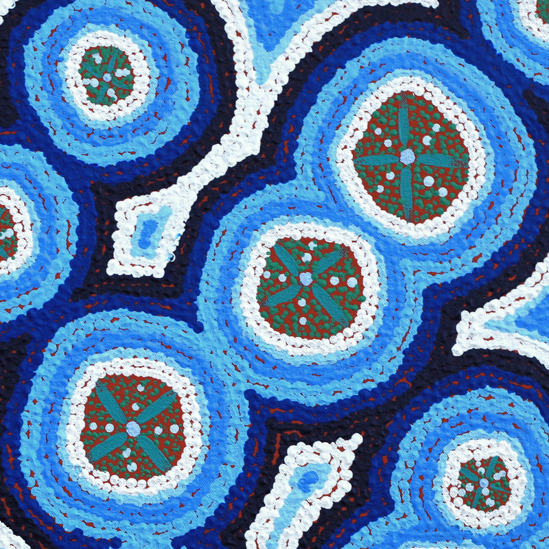 Aboriginal Artwork by Kaylisha Napaljarri Ross, Ngatijirri Jukurrpa (Budgerigar Dreaming), 46x46cm