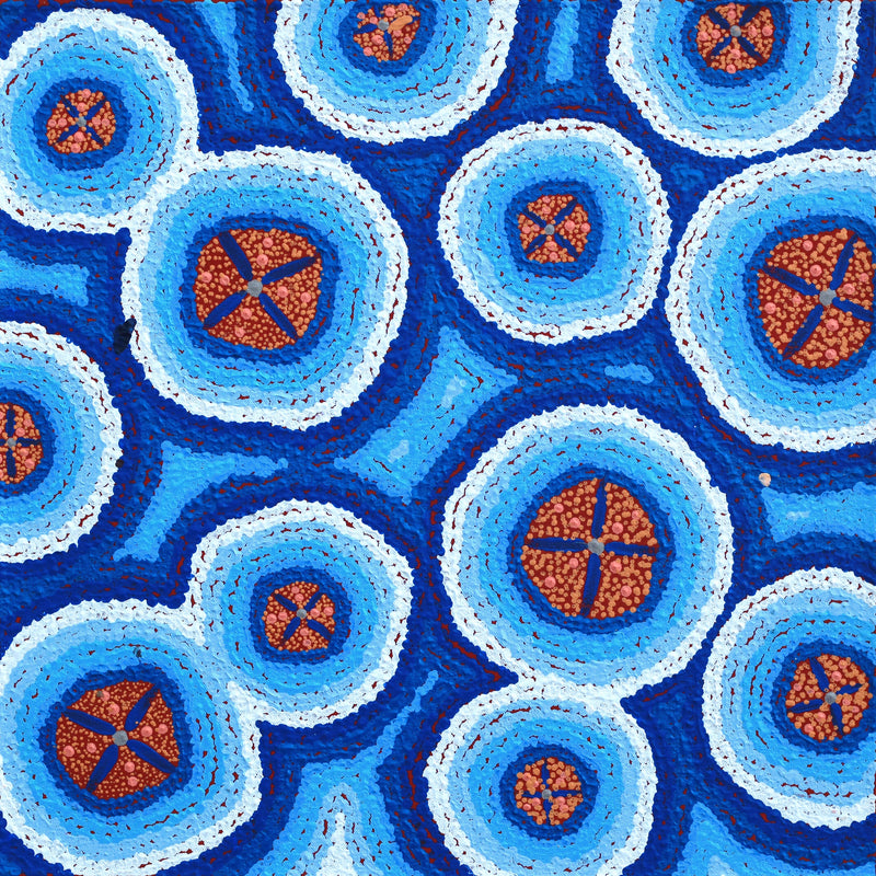 Aboriginal Artwork by Kaylisha Napaljarri Ross, Ngatijirri Jukurrpa (Budgerigar Dreaming), 46x46cm