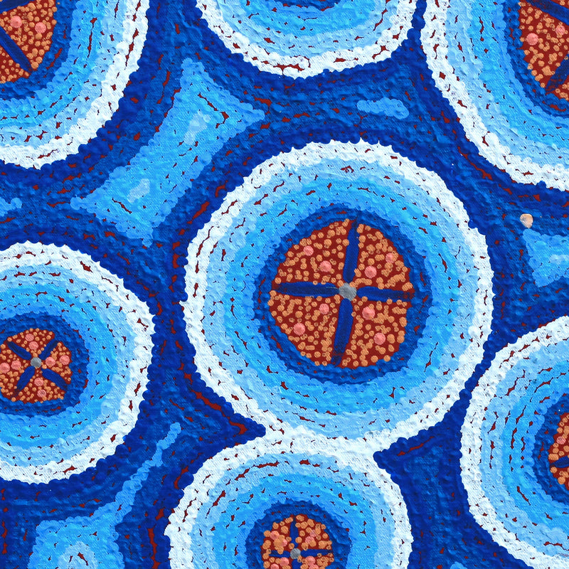 Aboriginal Artwork by Kaylisha Napaljarri Ross, Ngatijirri Jukurrpa (Budgerigar Dreaming), 46x46cm