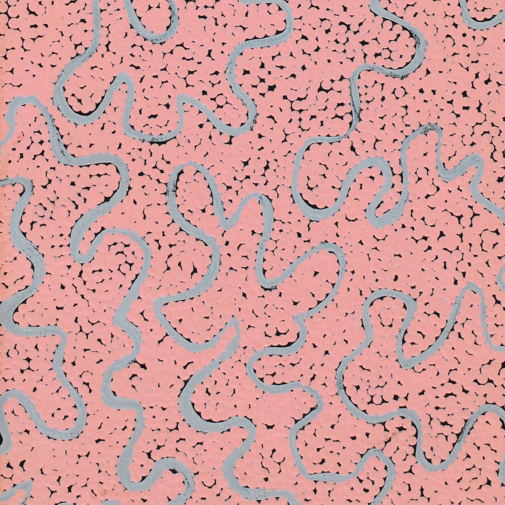 Aboriginal Artwork by Kelly-Anne Nungarrayi Gibson, Ngapa Jukurrpa (Water Dreaming) - Puyurru, 91x30cm