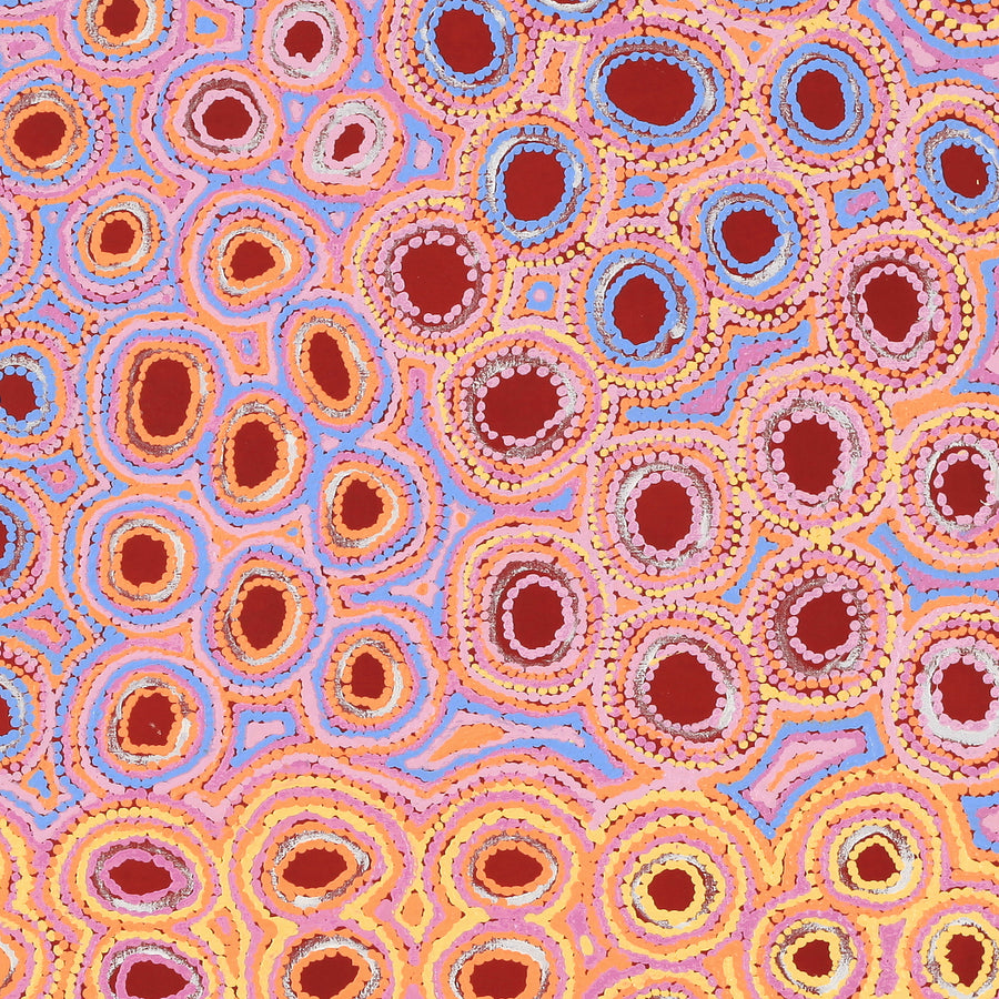 Aboriginal Artwork by Kelly Napangardi Michaels, Mina Mina Dreaming - Ngalyipi, 107x46cm