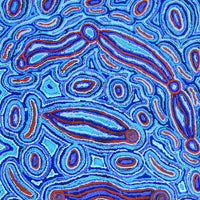 Aboriginal Artwork by Kelly Napanangka Michaels, Lappi Lappi Jukurrpa, 122x46cm