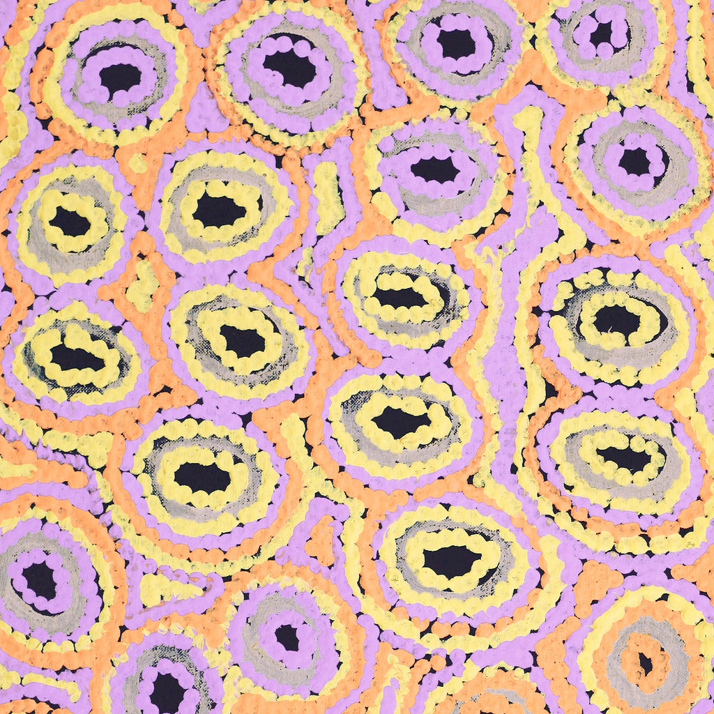 Aboriginal Artwork by Kelly Napangardi Michaels, Mina Mina Jukurrpa - Ngalyipi, 76x30cm