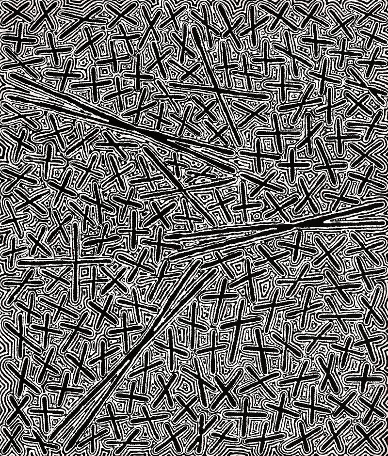 Aboriginal Artwork by Kenneth Jungarrayi Martin, Ngatijirri Jukurrpa (Budgerigar Dreaming), 107x91cm