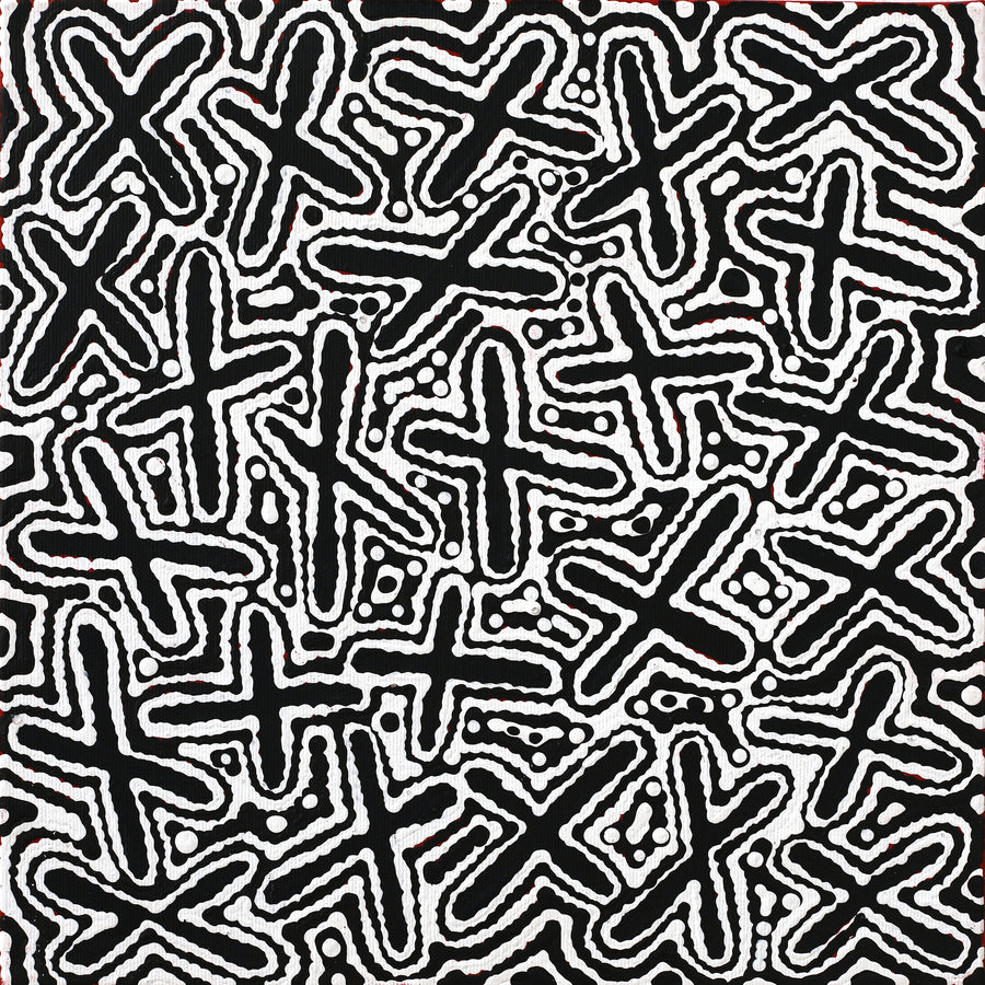 Aboriginal Artwork by Kenneth Jungarrayi Martin, Ngatijirri Jukurrpa (Budgerigar Dreaming), 30x30cm