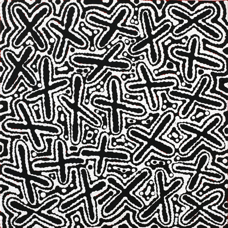 Aboriginal Artwork by Kenneth Jungarrayi Martin, Ngatijirri Jukurrpa (Budgerigar Dreaming), 30x30cm