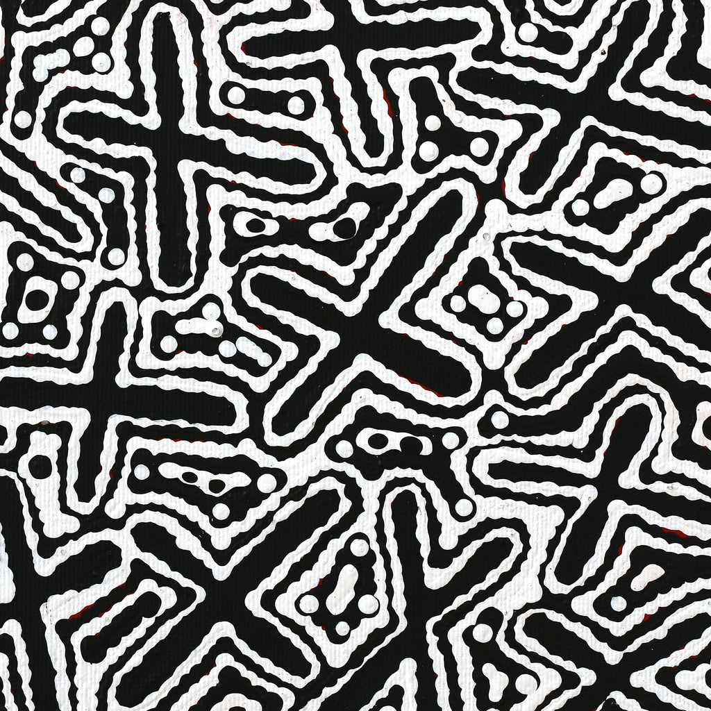 Aboriginal Artwork by Kenneth Jungarrayi Martin, Ngatijirri Jukurrpa (Budgerigar Dreaming), 30x30cm