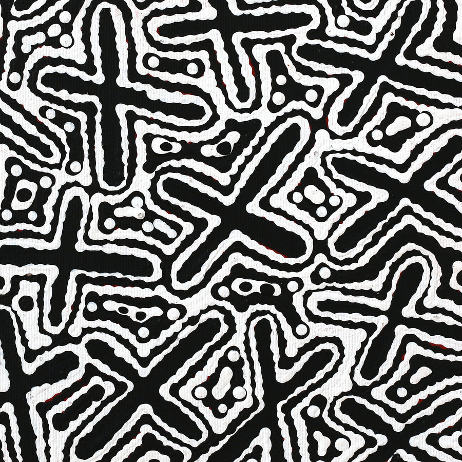 Aboriginal Artwork by Kenneth Jungarrayi Martin, Ngatijirri Jukurrpa (Budgerigar Dreaming), 30x30cm