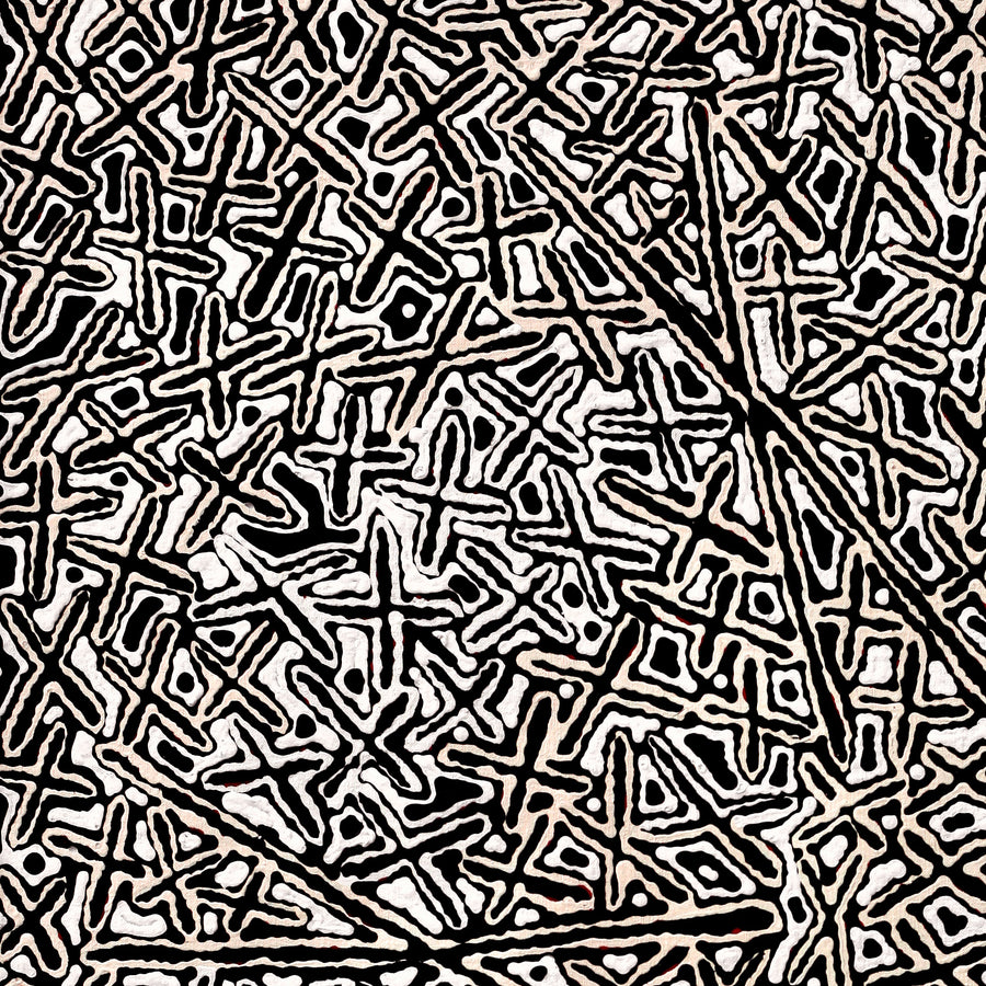 Aboriginal Artwork by Kenneth Jungarrayi Martin, Ngatijirri Jukurrpa (Budgerigar Dreaming), 107x46cm