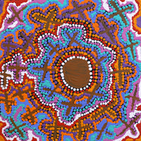 Aboriginal Artwork by Kershini Napaljarri Collins, Ngatijirri Jukurrpa (Budgerigar Dreaming), 30x30cm