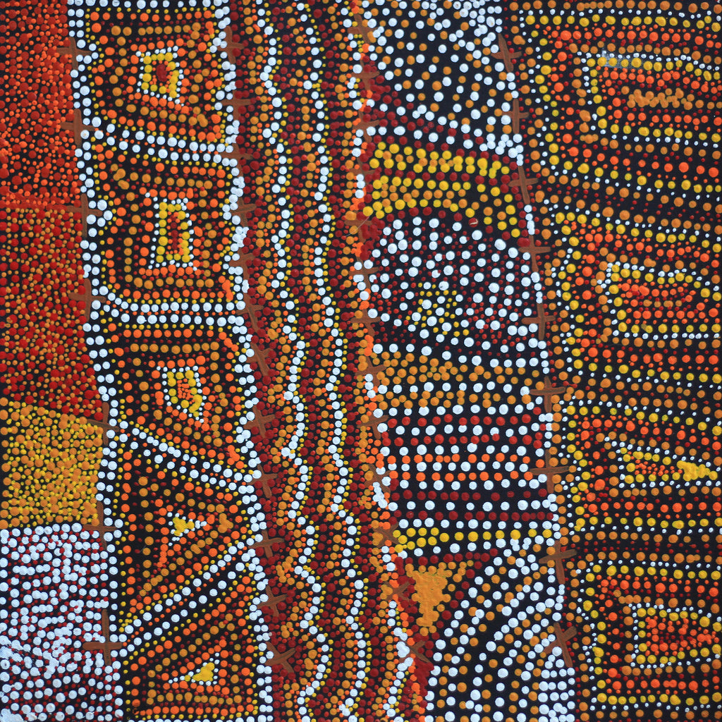 Aboriginal Artwork by Kershini Napaljarri Collins, Ngatijirri Jukurrpa (Budgerigar Dreaming), 46x46cm