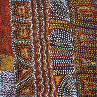 Aboriginal Artwork by Kershini Napaljarri Collins, Ngatijirri Jukurrpa (Budgerigar Dreaming), 46x46cm