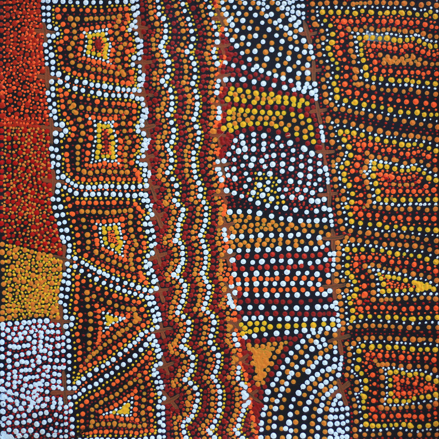 Aboriginal Artwork by Kershini Napaljarri Collins, Ngatijirri Jukurrpa (Budgerigar Dreaming), 46x46cm