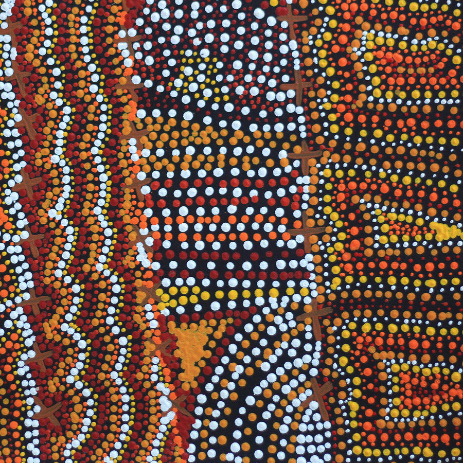 Aboriginal Artwork by Kershini Napaljarri Collins, Ngatijirri Jukurrpa (Budgerigar Dreaming), 46x46cm