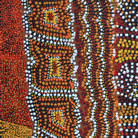 Aboriginal Artwork by Kershini Napaljarri Collins, Ngatijirri Jukurrpa (Budgerigar Dreaming), 46x46cm