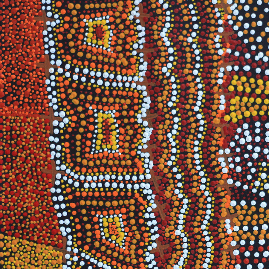 Aboriginal Artwork by Kershini Napaljarri Collins, Ngatijirri Jukurrpa (Budgerigar Dreaming), 46x46cm