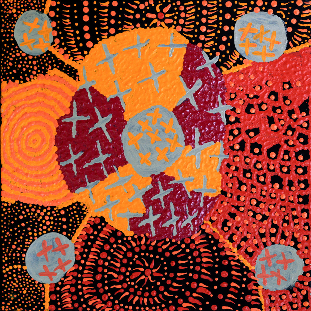 Aboriginal Artwork by Kershini Napaljarri Collins, Ngatijirri Jukurrpa (Budgerigar Dreaming), 30x30cm