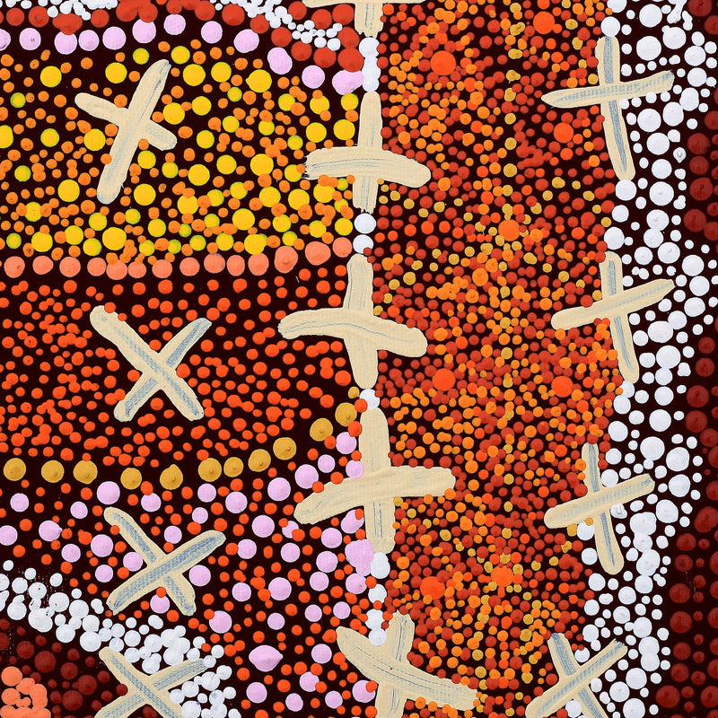 Aboriginal Artwork by Kershini Napaljarri Collins, Ngatijirri Jukurrpa (Budgerigar Dreaming), 30x30cm