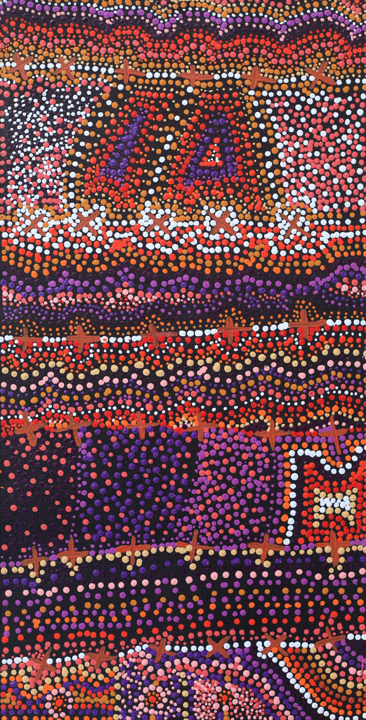 Aboriginal Artwork by Kershini Napaljarri Collins, Ngatijirri Jukurrpa (Budgerigar Dreaming), 61x30cm