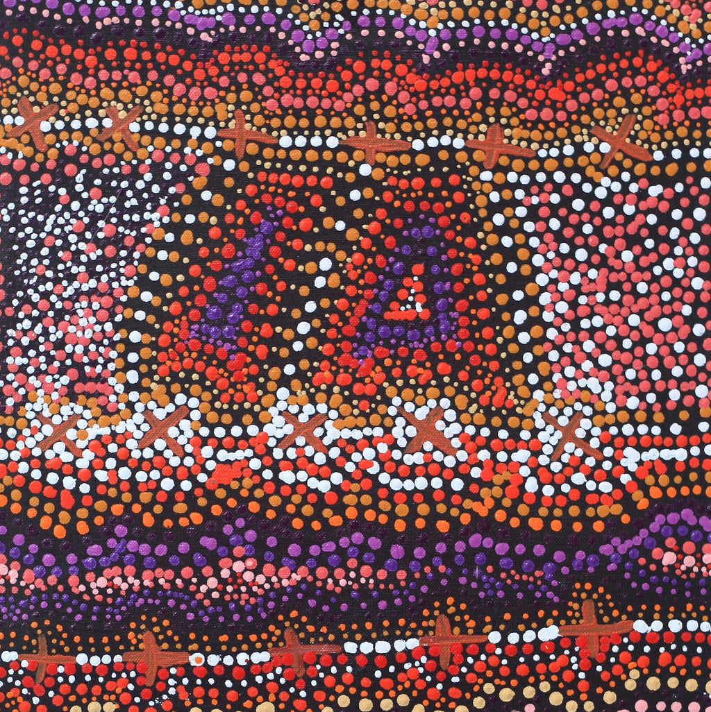 Aboriginal Artwork by Kershini Napaljarri Collins, Ngatijirri Jukurrpa (Budgerigar Dreaming), 61x30cm