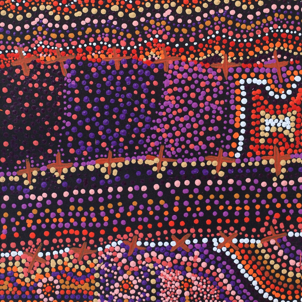 Aboriginal Artwork by Kershini Napaljarri Collins, Ngatijirri Jukurrpa (Budgerigar Dreaming), 61x30cm
