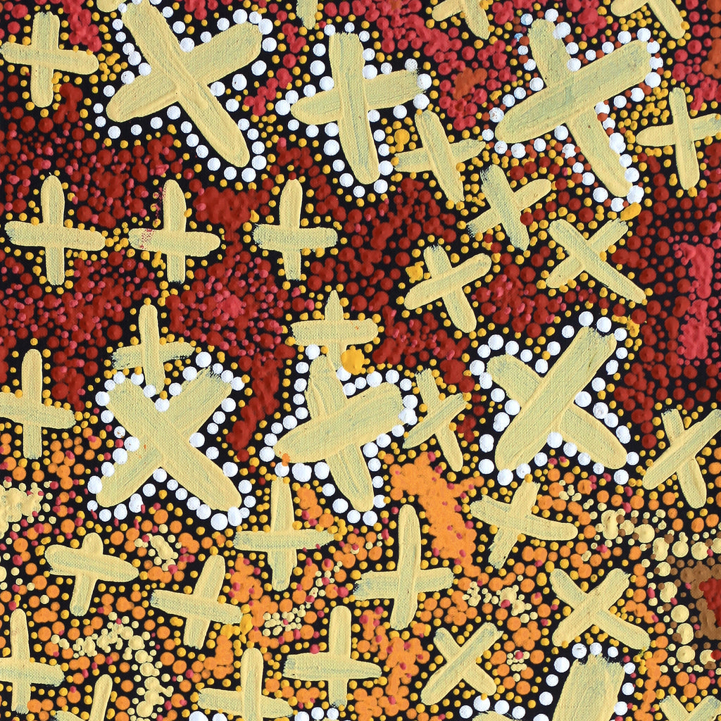 Aboriginal Artwork by Kershini Napaljarri Collins, Ngatijirri Jukurrpa (Budgerigar Dreaming), 76x30cm