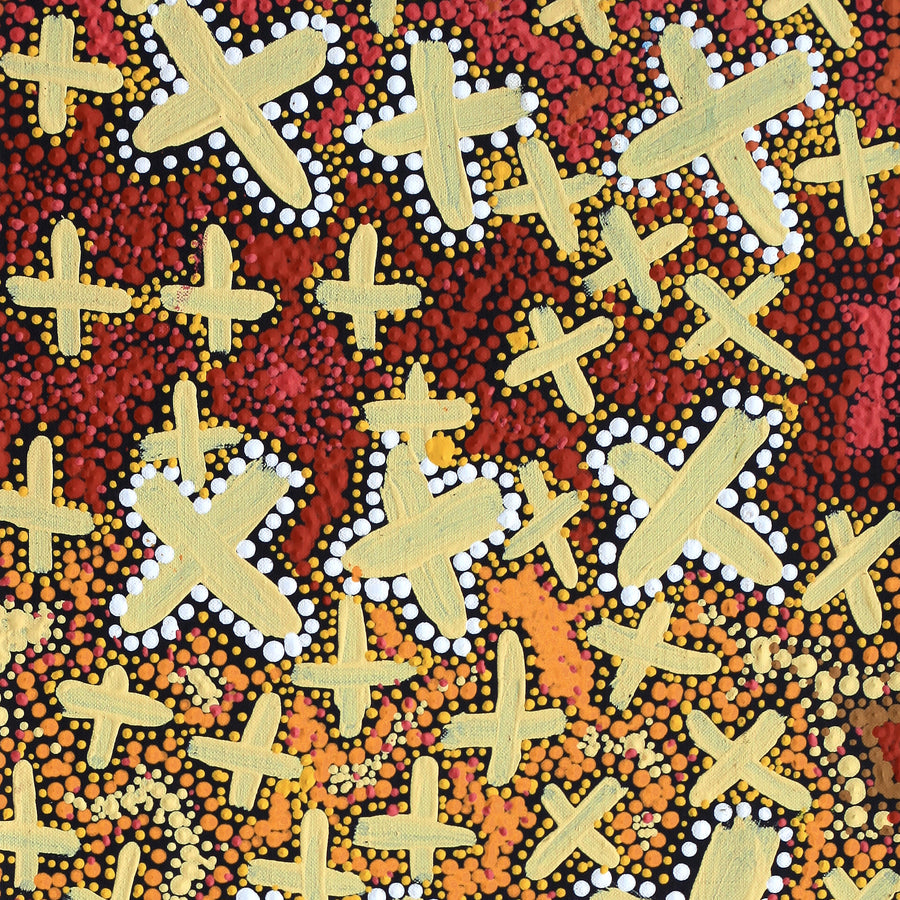 Aboriginal Artwork by Kershini Napaljarri Collins, Ngatijirri Jukurrpa (Budgerigar Dreaming), 76x30cm