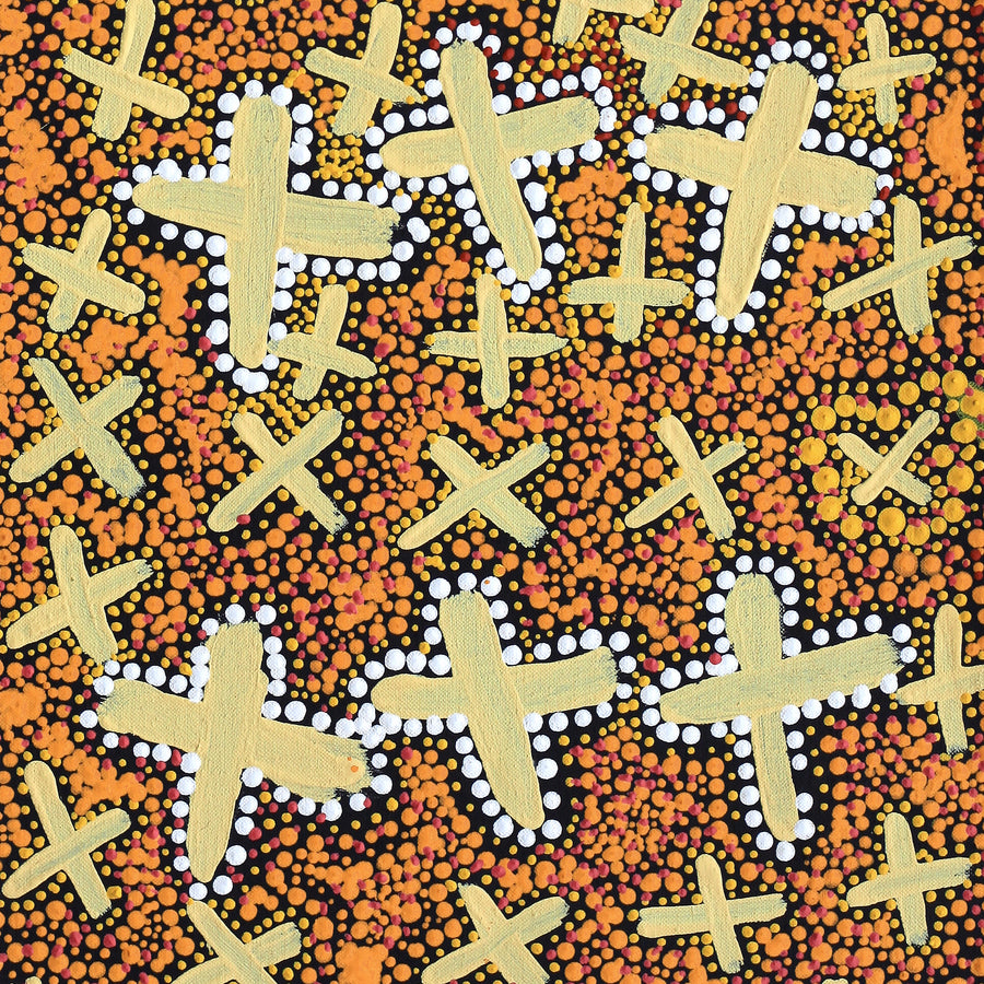 Aboriginal Artwork by Kershini Napaljarri Collins, Ngatijirri Jukurrpa (Budgerigar Dreaming), 76x30cm