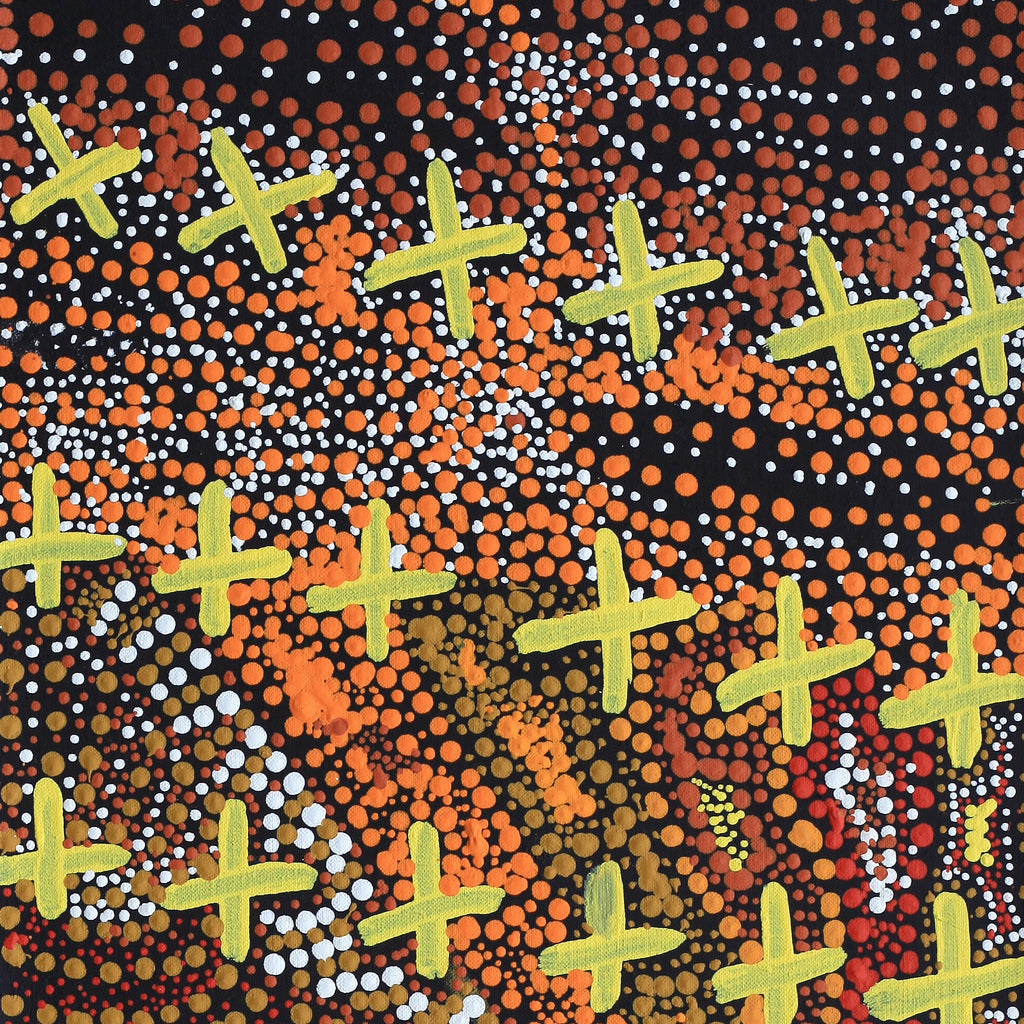 Aboriginal Artwork by Kershini Napaljarri Collins, Ngatijirri Jukurrpa (Budgerigar Dreaming), 76x30cm