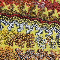 Aboriginal Artwork by Kershini Napaljarri Collins, Ngatijirri Jukurrpa (Budgerigar Dreaming), 76x30cm