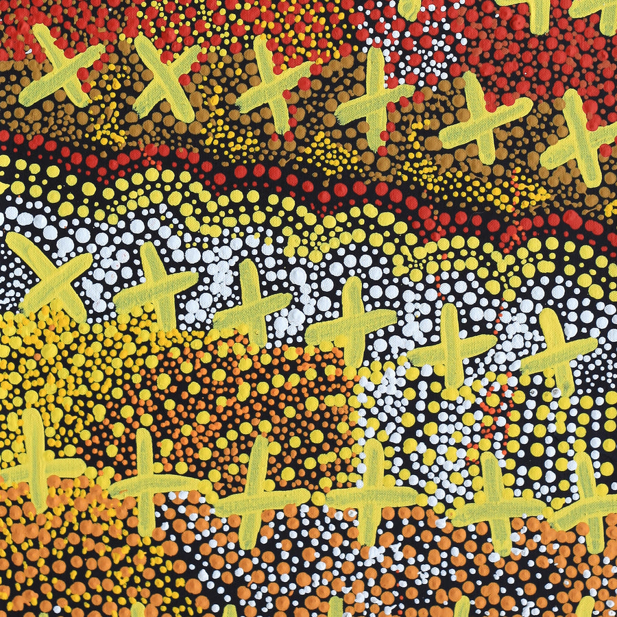 Aboriginal Artwork by Kershini Napaljarri Collins, Ngatijirri Jukurrpa (Budgerigar Dreaming), 76x30cm