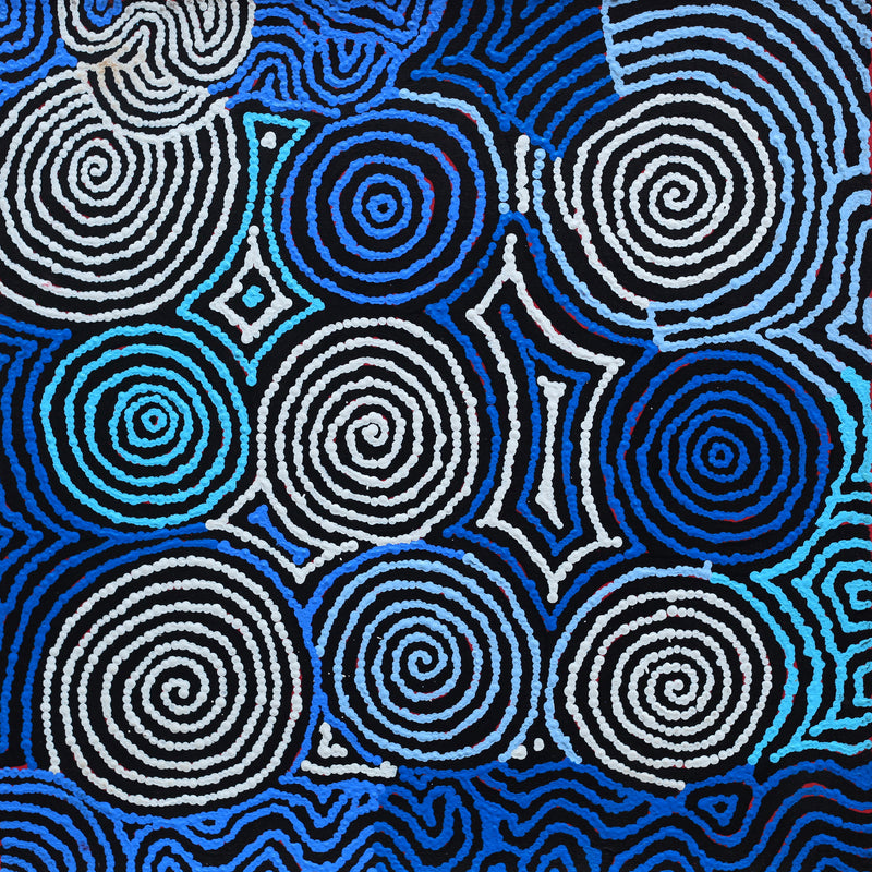 Aboriginal Artwork by Kirsty Anne Napanangka Brown, Mina Mina Jukurrpa - Ngalyipi, 46x46cm