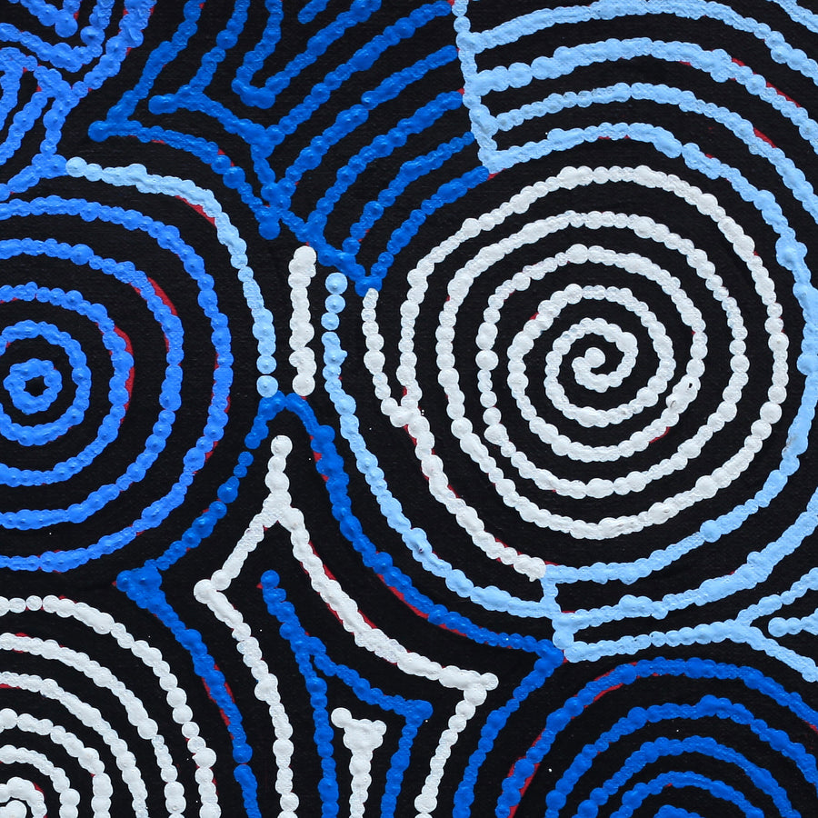 Aboriginal Artwork by Kirsty Anne Napanangka Brown, Mina Mina Jukurrpa - Ngalyipi, 46x46cm