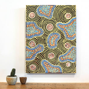 Aboriginal Art by Kirsty Anne Napanangka Brown, Mina Mina Jukurrpa - Ngalyipi, 61x46cm - ART ARK®