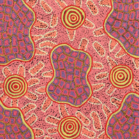 Aboriginal Artwork by Kirsty Anne Napanangka Martin, Mina Mina Jukurrpa - Ngalyipi, 122x46cm