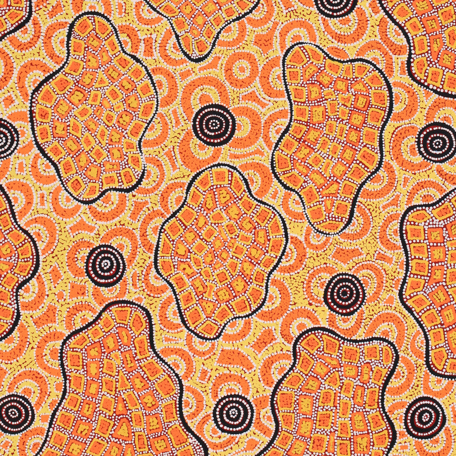 Aboriginal Artwork by Kirsty Anne Napanangka Martin, Mina Mina Jukurrpa - Ngalyipi, 183x91cm
