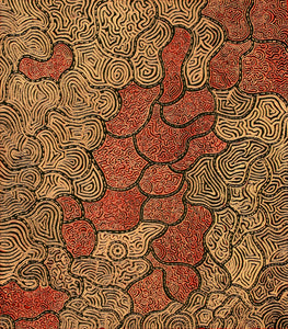 Aboriginal Art by Kirsty-Anne Napanangka Martin, Mina Mina Jukurrpa - Ngalyipi, 122x107cm - ART ARK®