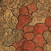 Aboriginal Artwork by Kirsty-Anne Napanangka Martin, Mina Mina Jukurrpa - Ngalyipi, 122x107cm